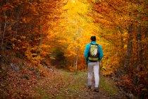 Mulher caminhando por uma floresta espetacular no outono — Fotografia de Stock