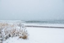 Ondas oceânicas na praia coberta de neve no inverno — Fotografia de Stock