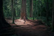 Молода жінка в зеленому лісі — стокове фото