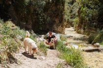 Giovane al fiume con due cani in estate — Foto stock