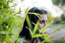 Joven chica de lado mirando hacia adelante rodeado de hojas de bambú - foto de stock