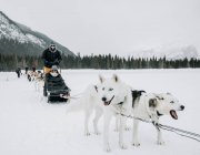 Pareja se sienta en trineo de perros conducidos por perros en el lago congelado en invierno - foto de stock