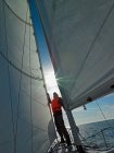 Man checking on his spinnaker sail while sailing in Iceland — Stock Photo