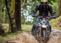 Homme chevauchant sa moto de type brouilleur à travers la forêt — Photo de stock