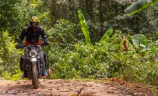 Чоловік їде своїм мотоциклом типу скремблера через ліс — стокове фото