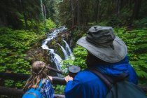 Man and daughter looking at waterfall from bridge — Stock Photo