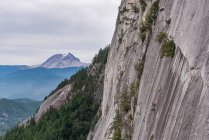 Giovane che si arrampica sulla roccia nella foresta — Foto stock