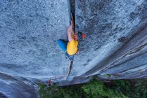 Jeune homme grimpant sur le rocher dans la forêt — Photo de stock