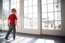 Toddler Boy Looks Out Large Sliding Glass Door at Dog on Deck — Stock Photo