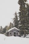 Nieve cubierto de viejos tramperos de madera cabaña en el bosque. - foto de stock
