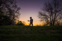 Kleiner Junge spielt Flugzeug Silohette Sommer Sonnenuntergang lila gelb — Stockfoto
