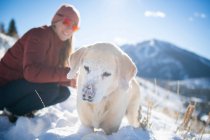A yellow lab playing in the snow on a walk near Sun Valley. — Stock Photo