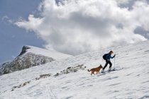 Woman skins up Mount Sopris with her dog on a sunny day in Colorado. — Stock Photo