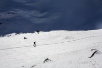 Esquís de una persona en un prado alpino en Colorado. - foto de stock