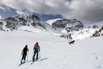 Two women ski up Mount Sopris with a dog in Colorado — Stock Photo