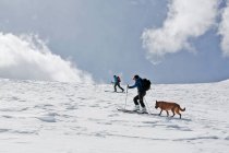 Две женщины катаются на лыжах с собакой в Колорадо — стоковое фото