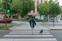 Giovane ragazza con cane in città — Foto stock
