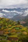 Terraced Fields, perú, América del Sur - foto de stock
