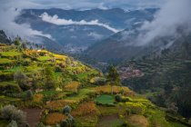 Сельское хозяйство, Терраса Поля, Перу, Вид на высокий угол — стоковое фото