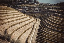 Vignobles Douro vue aérienne — Photo de stock