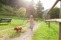 Cute little boy walking with teckel dog in a green park — Stock Photo