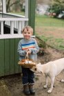 Pequeño niño sosteniendo una cesta de huevos frescos de granja y su curioso perro. - foto de stock