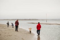 Family walking dogs along shoreline — Stock Photo