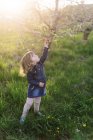 Little toddler girl on a walk in an orchard. — Stock Photo