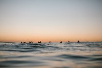 Grupo de surfistas sob o pôr do sol nas Ilhas Canárias — Fotografia de Stock