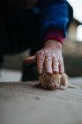 Primo piano di una mano di una donna anziana e piccolo gattino — Foto stock