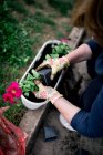 Жінка з квітами в саду на фоні, крупним планом — стокове фото
