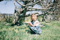 Девушка собирает цветы в поле в прекрасный солнечный день — стоковое фото