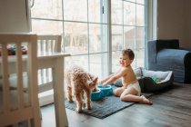 Toddler boy in diaper playing with dog's water dish in living room — Stock Photo