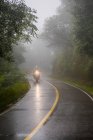 Woman riding touring motorbike through rain forest, Jujuy / Argentina — Stock Photo