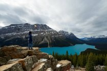 Fille bénéficiant de la vue sur une randonnée au lac Peyto, parc national Banff — Photo de stock