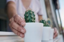 Mano che tiene il cactus in vaso — Foto stock