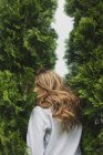 Back view of young woman standing between cypresses — Stock Photo