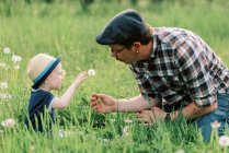 Отец и сын играют в одуванчике на травянистом поле — стоковое фото
