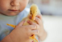 Little girl holding a yellow duckling in her hands — Stock Photo