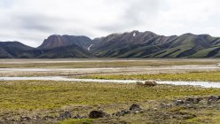 Bela paisagem das terras altas da Islândia. Natureza — Fotografia de Stock