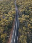 Serpentinenstraße durch üppigen Wald im Grampians Nationalpark, Victoria, Australien. — Stockfoto