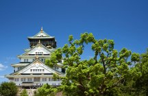 Влітку замок Осака в Осаці. Японія. — стокове фото