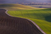 Detail of a rural landscape in Turiec region, Slovakia — Stock Photo