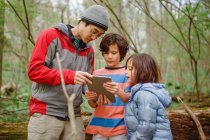 A father and children look at a tablet on a walk through the woods — Stock Photo
