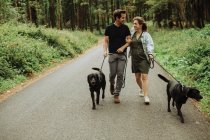 Giovane coppia cani da passeggio nel parco — Foto stock