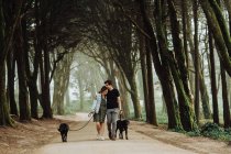 Young couple walking dogs in the park — Stock Photo