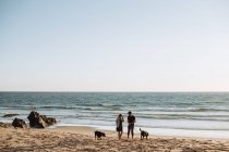 Молодая пара выгуливает собак на пляже — стоковое фото