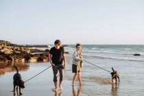 Young couple walking dogs on the beach — Stock Photo