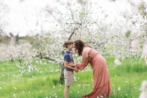 Una madre con suo figlio in un frutteto di mele in fiore nel New England — Foto stock