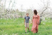 Eine Mutter mit ihrem Sohn in einem blühenden Apfelgarten in Neuengland — Stockfoto